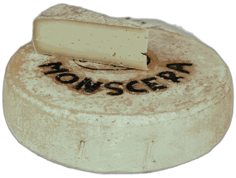 Grasso d'Alpe Monscera